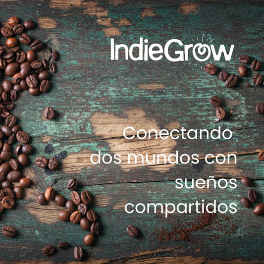 Indiegrow - El poder de conectar personas